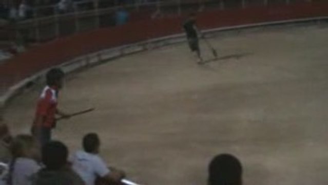 taureau piscine grande motte