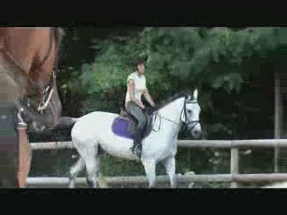 Riding... Draft !