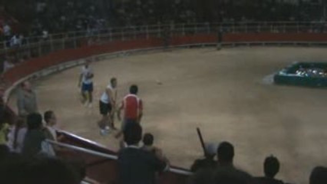 taureau piscine grande motte