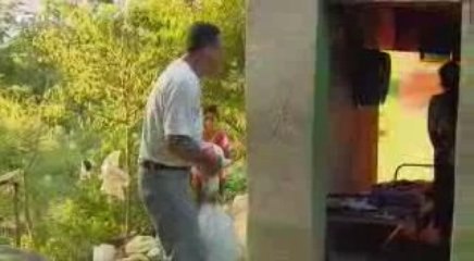 Fighting the Vultures for Food - CBN.com