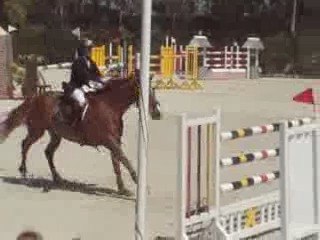 yegua 8 años por Le Tot de Semilly