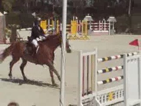 yegua 8 años por Le Tot de Semilly