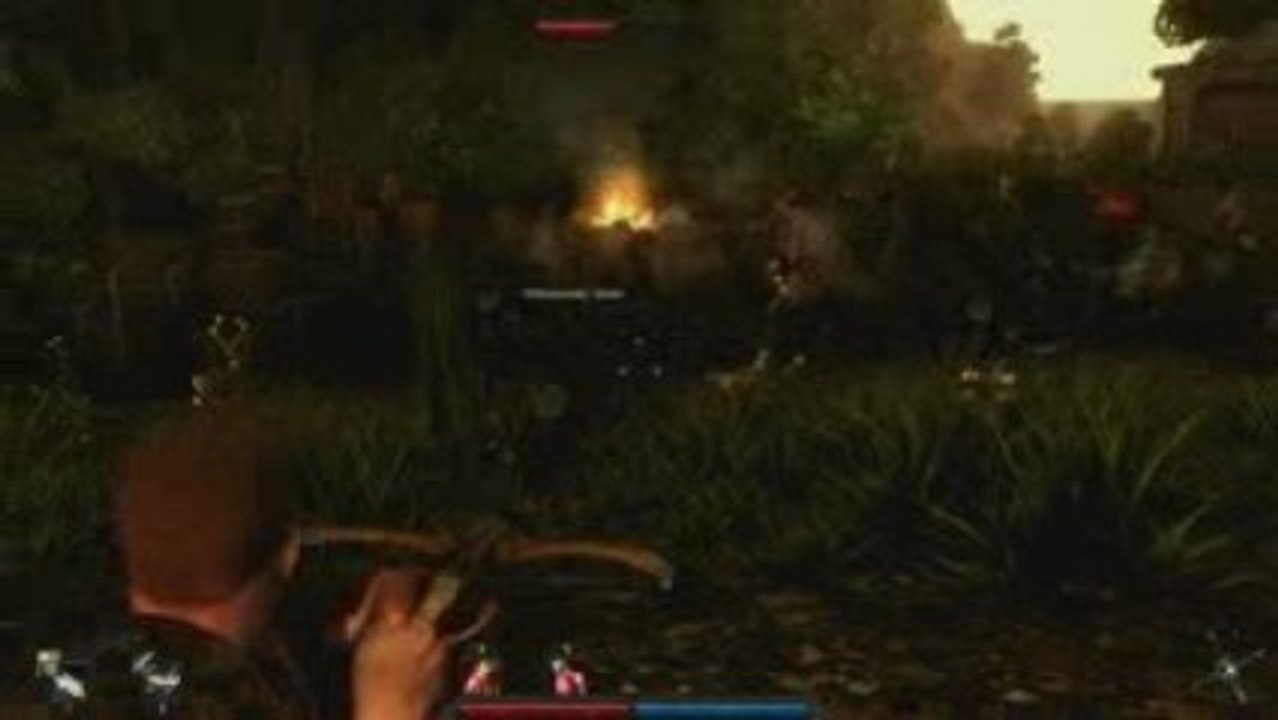 Risen: Gnome attackieren Gehöft