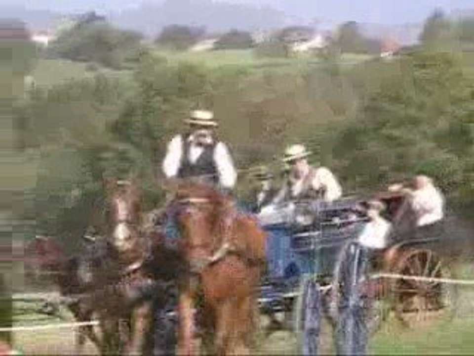 Attelage de tradition