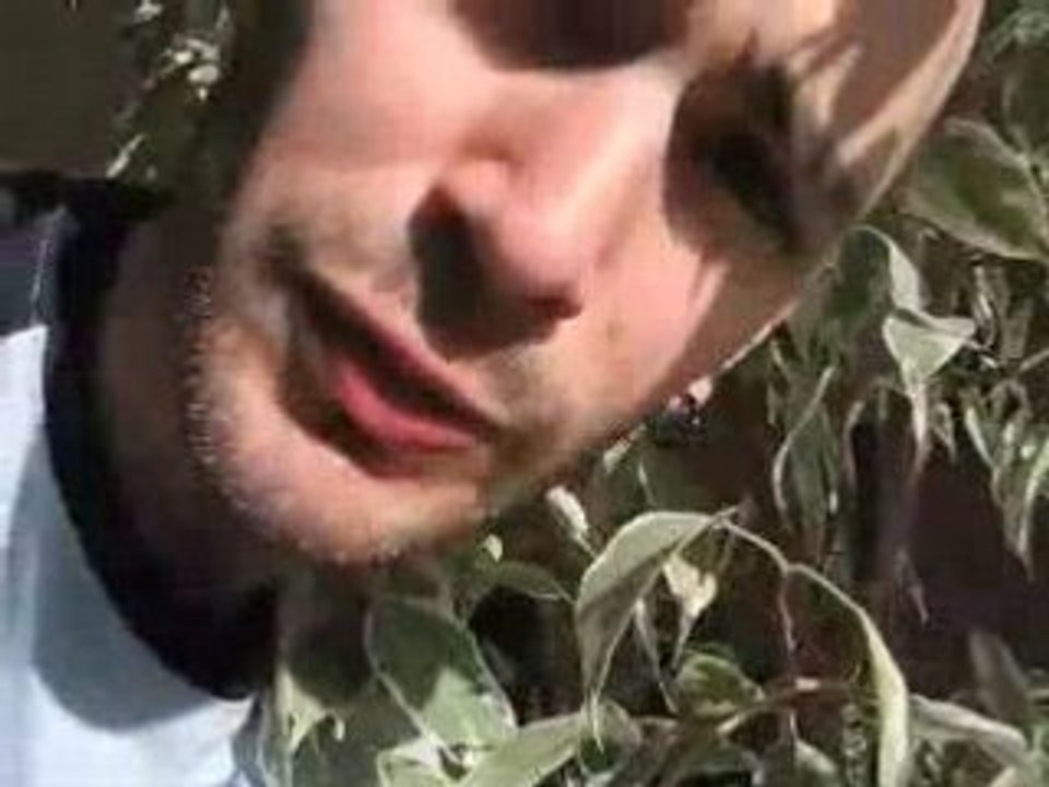 la loi de la jungle