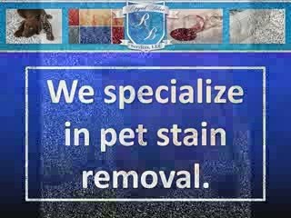 Orlando Carpet Stain Removal (321) 216-1442
