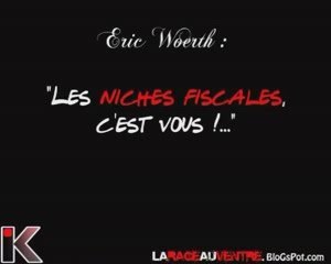 Woerth : "Les niches fiscales,c'est vous !!!..."