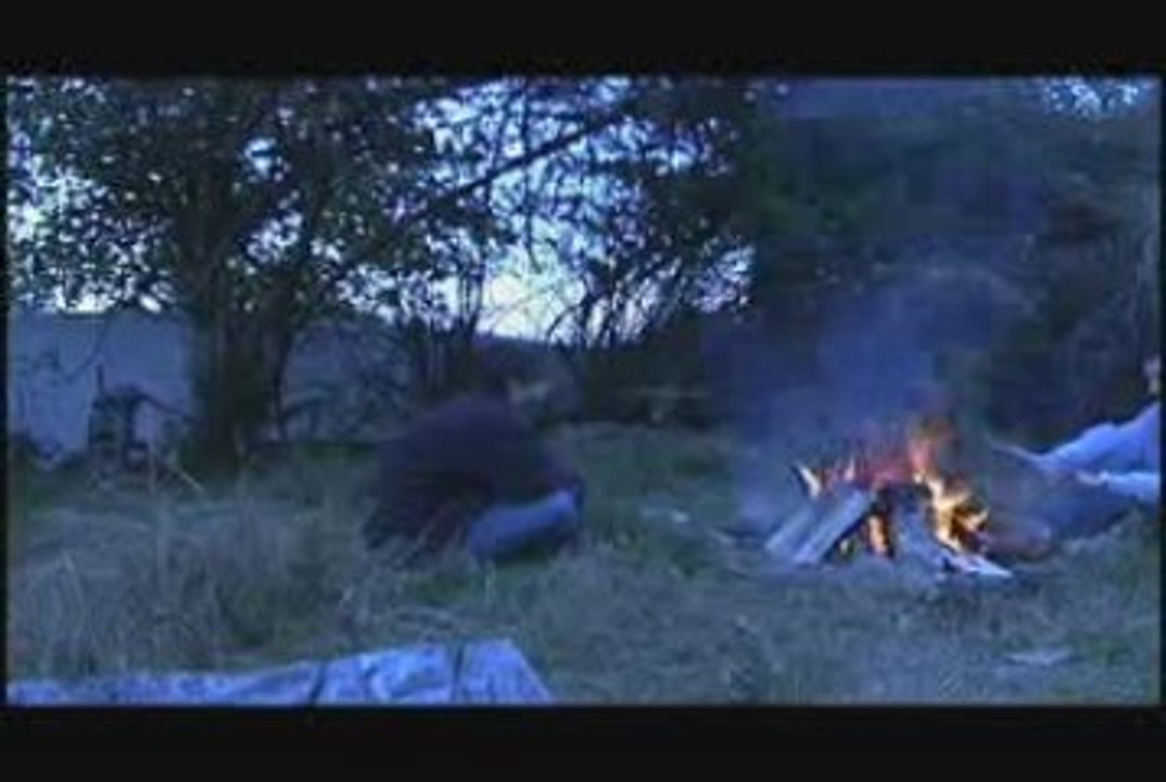 Moth - A Jaws Parody