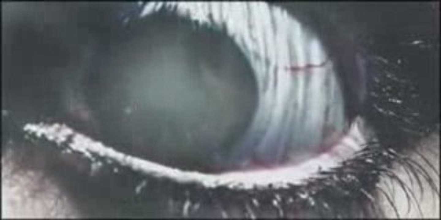 Belphegor - Der Geistertreiber (2009)