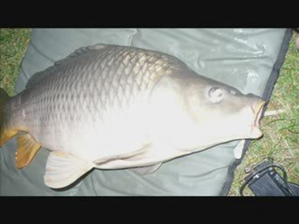session de nuit