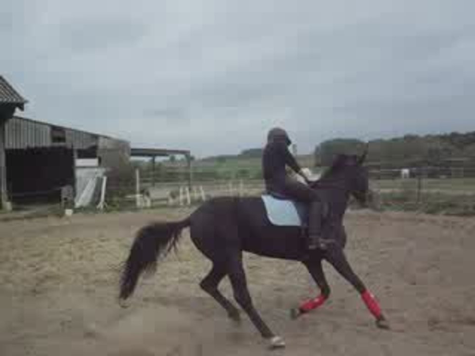 quickie saut 3sept 4()