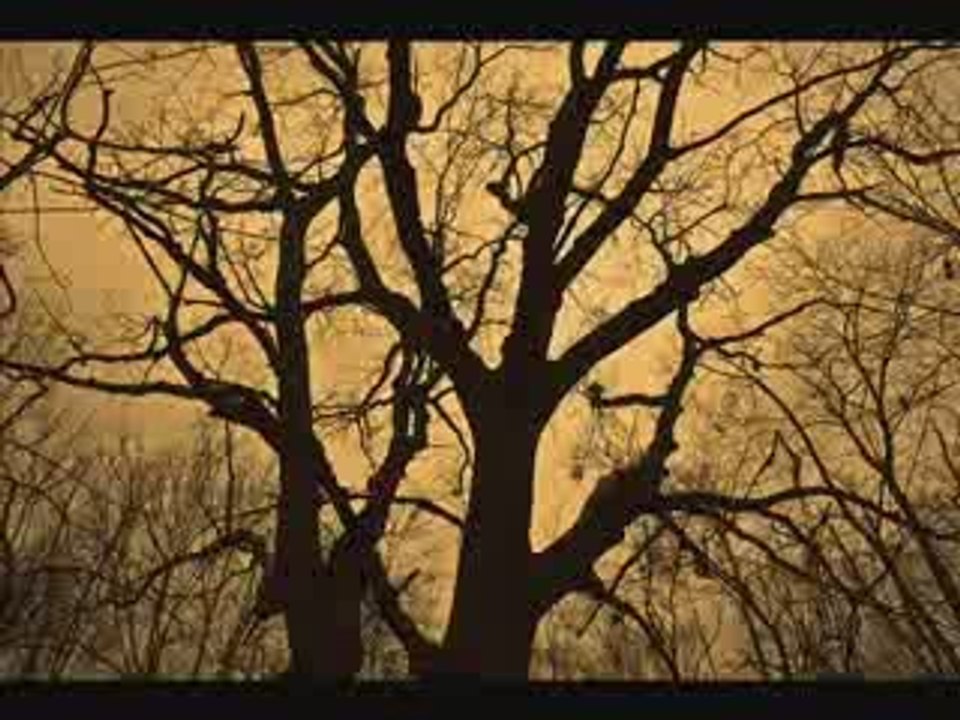 Sonbahar - Cem Adrian