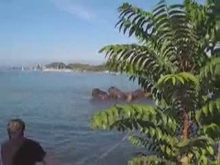 bain des elephants ouchy 2009