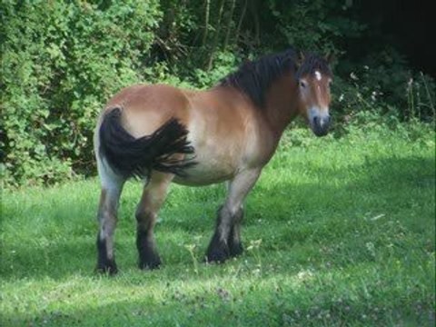 Lettre-à-Jules-Leroux-par-Bruno-PIA-Villers-Semeuse