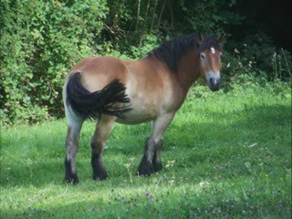 Lettre-à-Jules-Leroux-par-Bruno-PIA-Villers-Semeuse