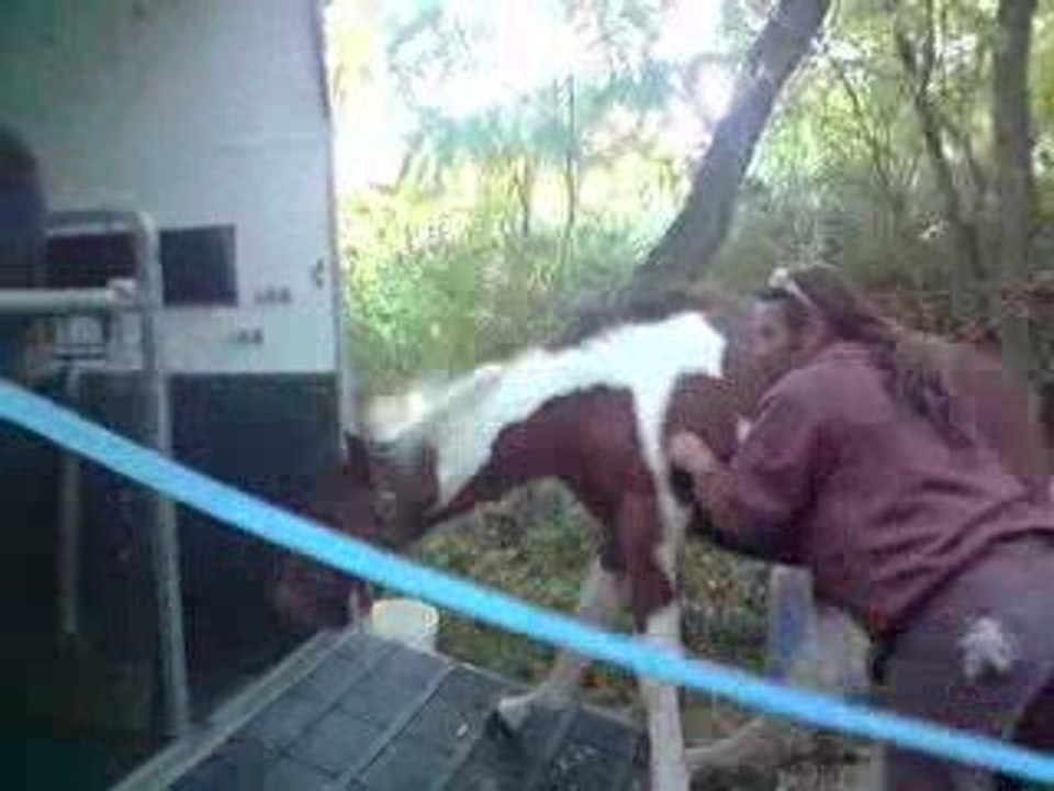 vanika veut toujours pas monter dans le van