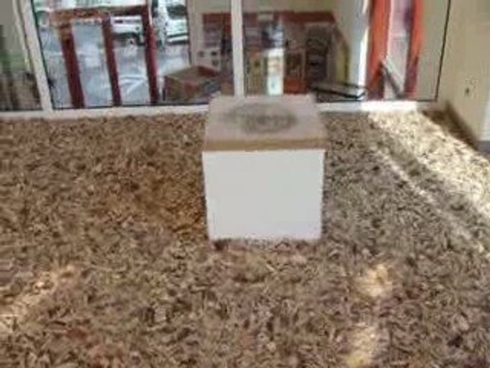 L'Eté Contemporain Dracénois 2009 - Mélika Khelifi-Eysseric