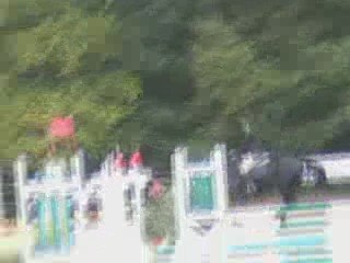 3 octobre 2009 - Amateur 4 (0.95) - Quenotte d'artémis