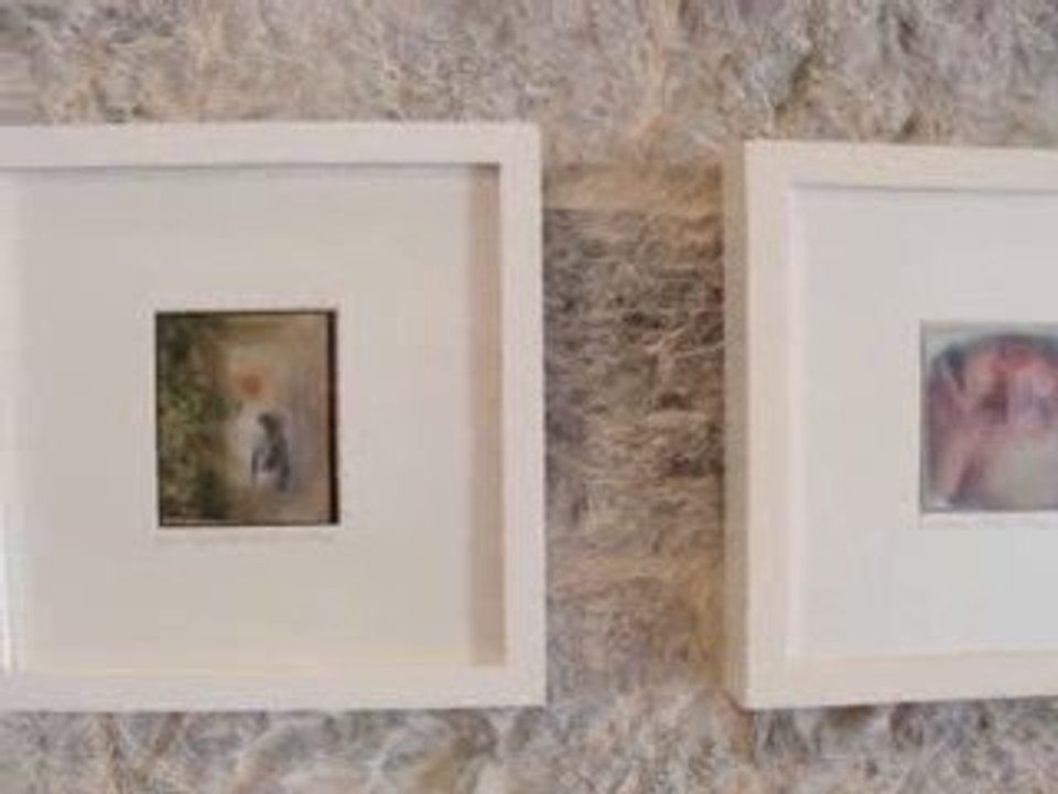 L'Eté Contemporain Dracénois 2009 - Danièle Flayeux