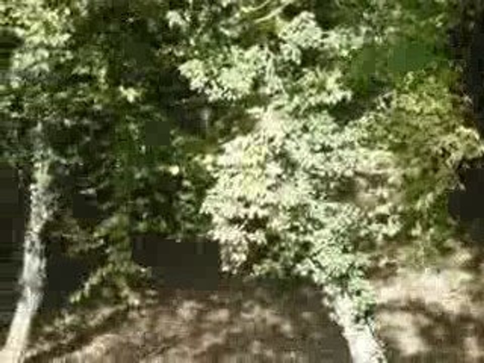 Moii & Kerry au cross ( L )