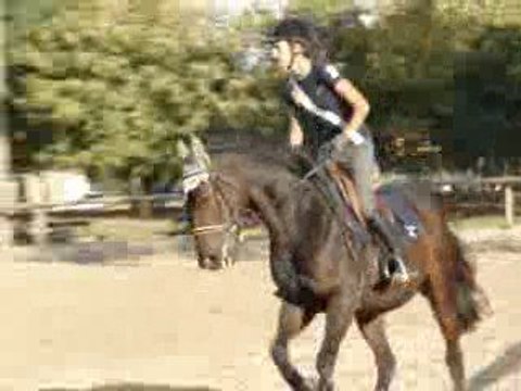 Opaline du Parc & Moi , séance de saut