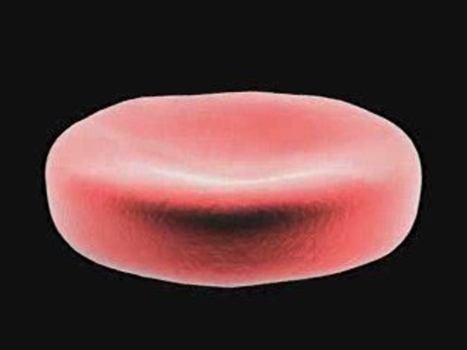 Test blood