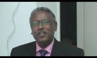 حوار صحيفة الجالية بهولندا مع د. محمد جلال هاشم -1