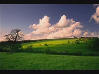 Armonia: Ponle amor a tus obras