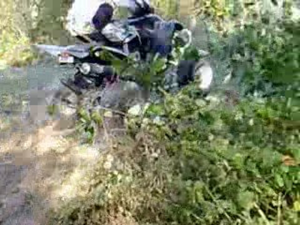 redman let's get dirty clip 350 raptor