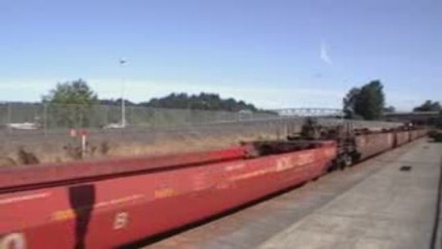 BNSF #4117 & UP #5504