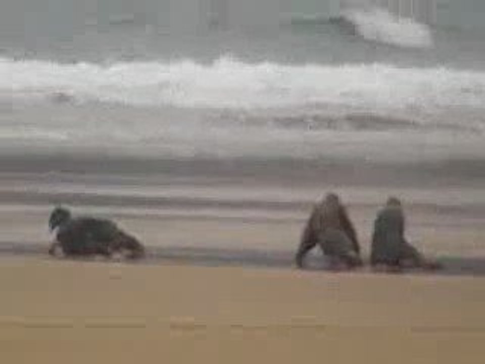 Harry Potter et les Reliques de la Mort [TOURNAGE] 1°