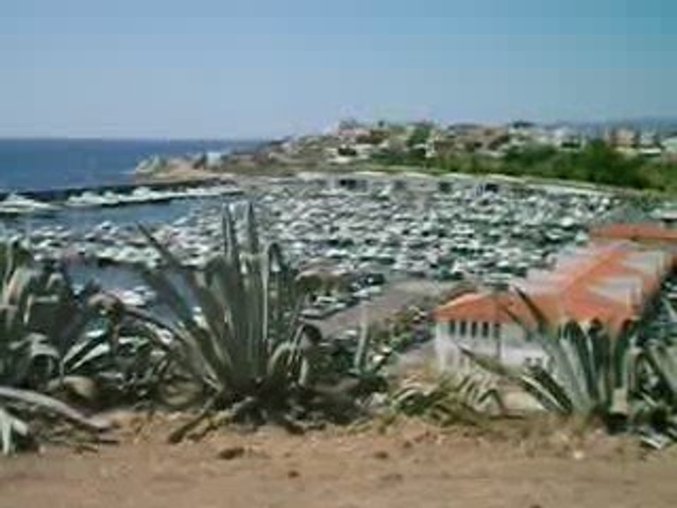 Port de Palamos costa brava