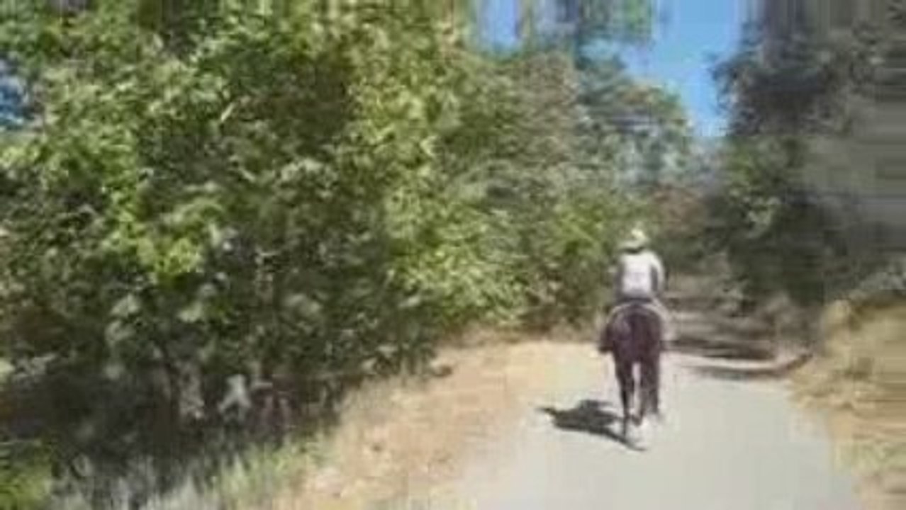 yeehaa California