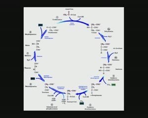 LLP Message de l'eau 2 sur 2