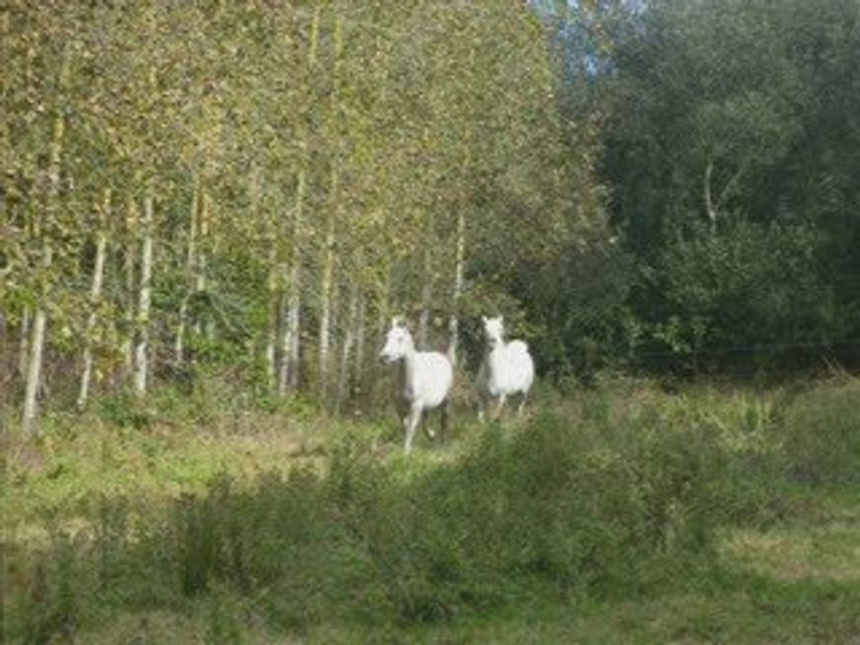 madigou nora hakim razna_0001