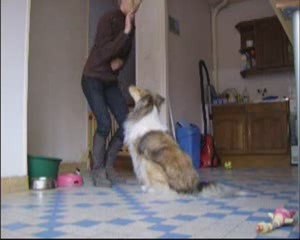 octobre01 2009 reprise de l'obr