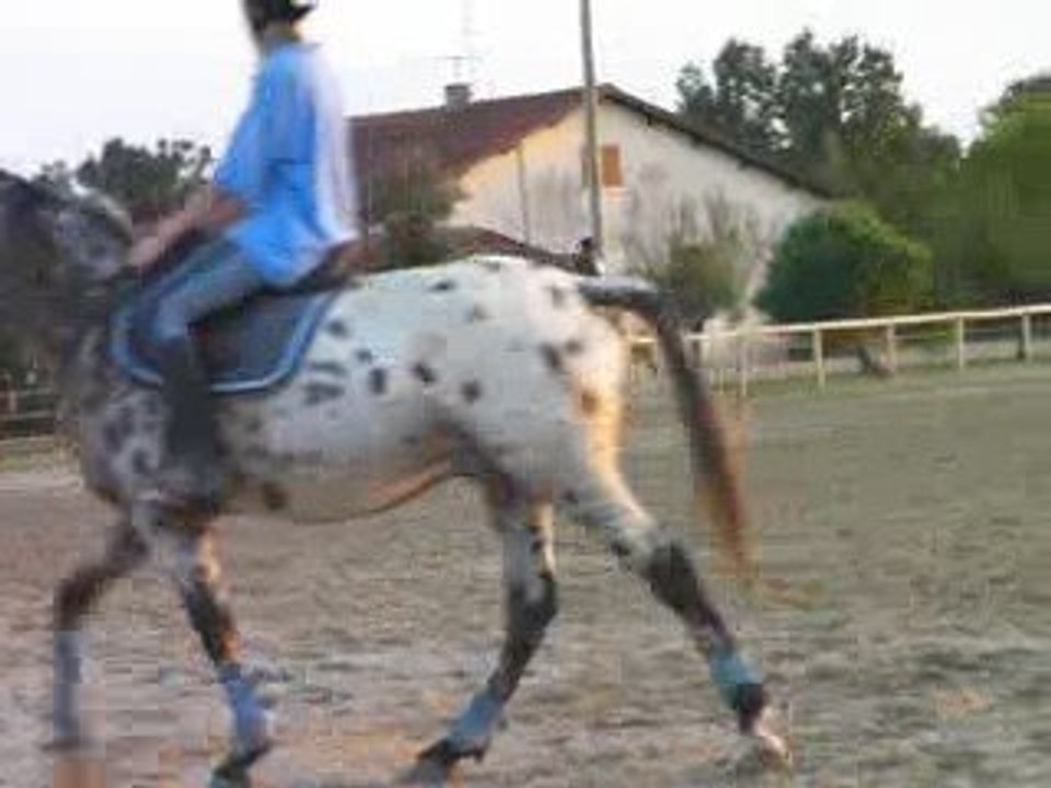 Roxy 02/10/09