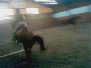 Saphir , MOn poney Je taiime (l)