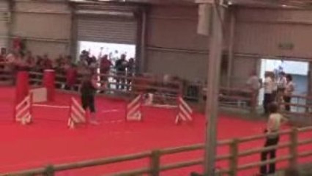 Avignon 3ème degré Baxter