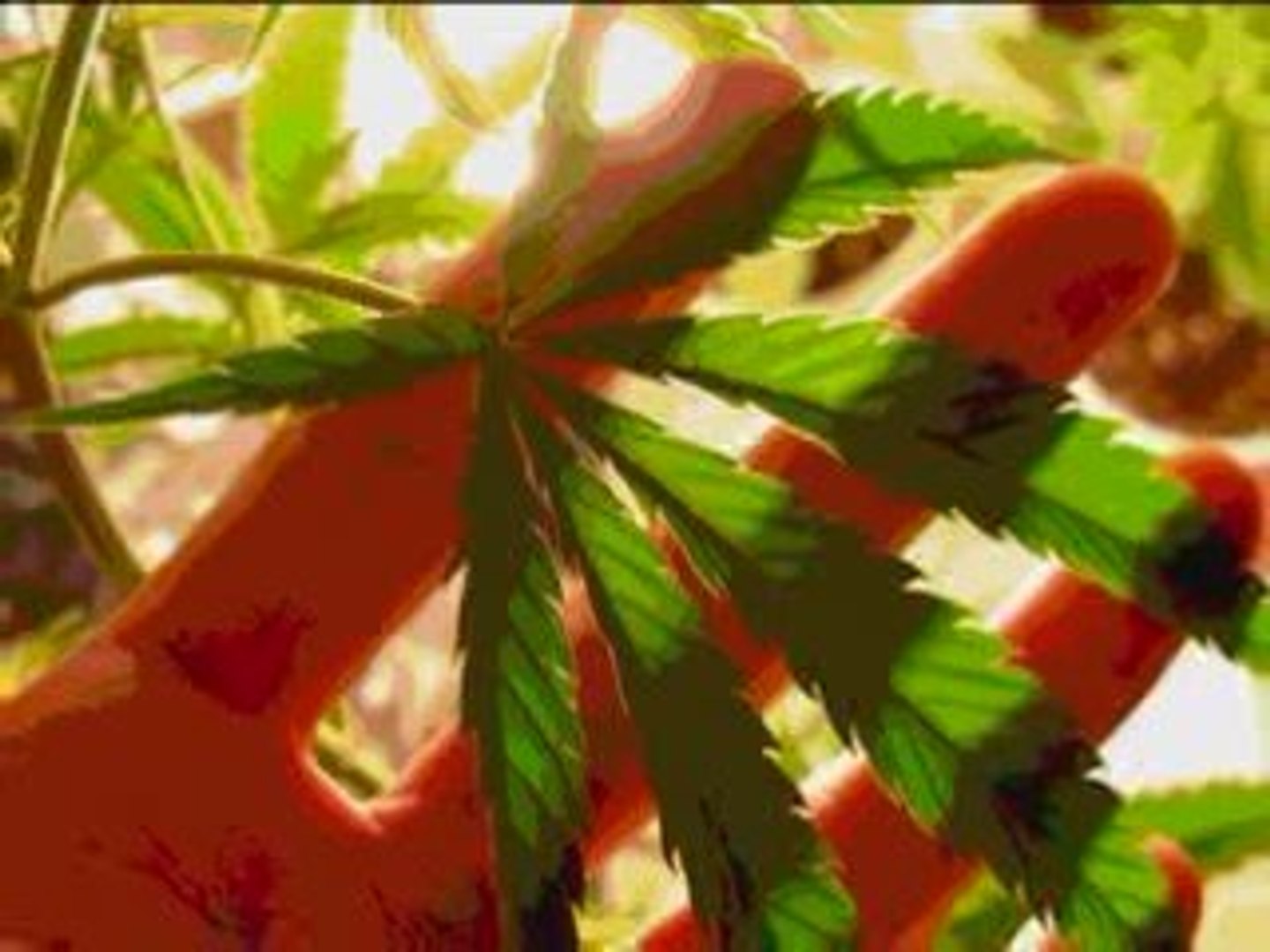 ⁣Electro Song: Marijuana Prohibition