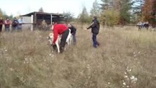 видео 7