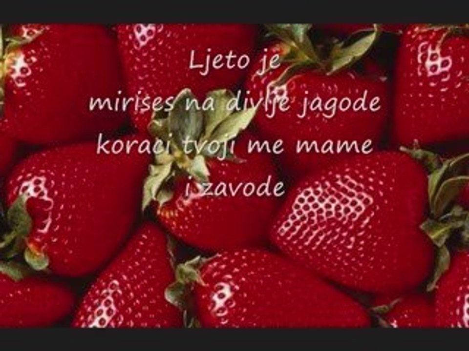 Fadil Toskic - Mirises na divlje jagode 1991