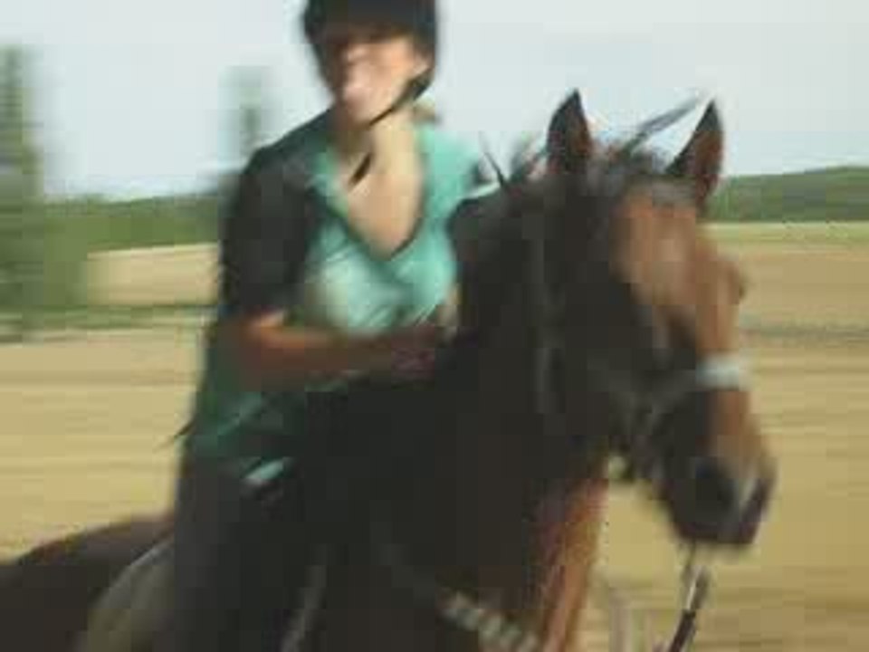 Tiffany Orion galop video