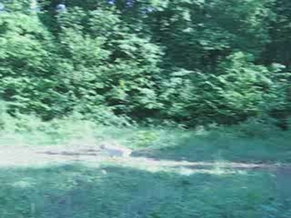 Jessy et Orion ballade