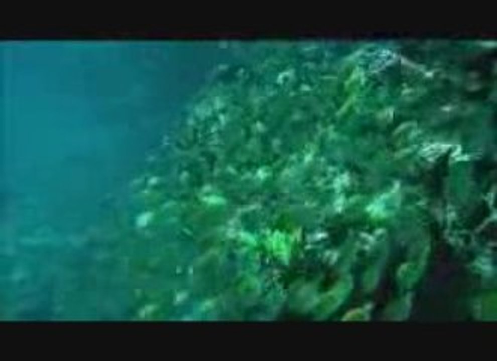 pub Ile de la Reunion 2009