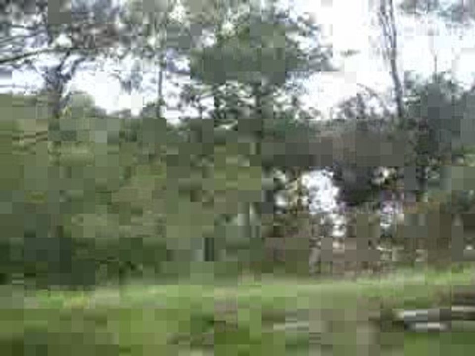 ToF' sur la route (2)
