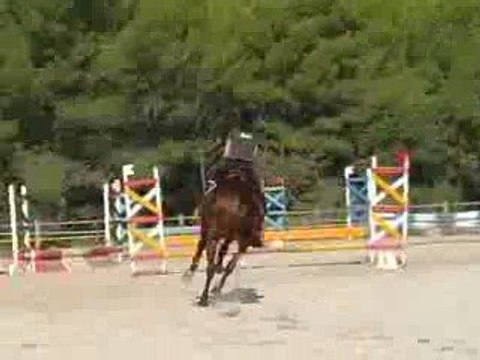 ConCour D'oBsTaCle Du Var (60 Cm)