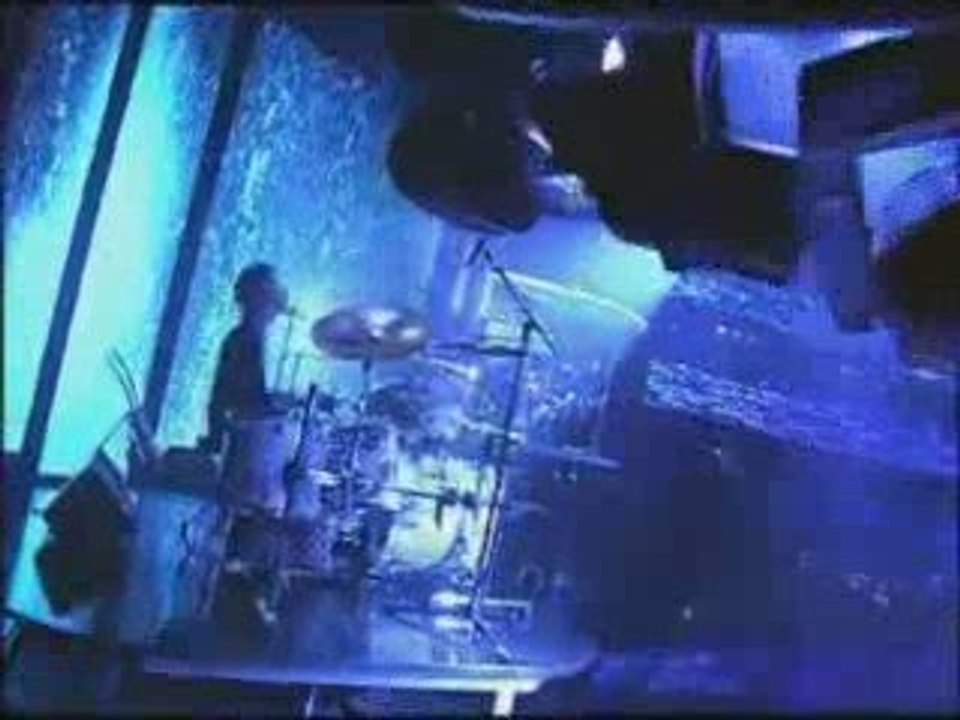 Virginia Maestro - pasado, presente y futuro - II parte