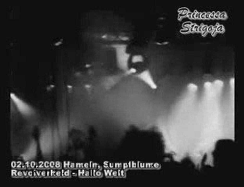 Sumpfblume - Revolverheld - Hallo Welt