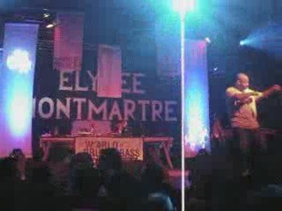 091003 Elysée Montmartre - The world of drum and bass 07